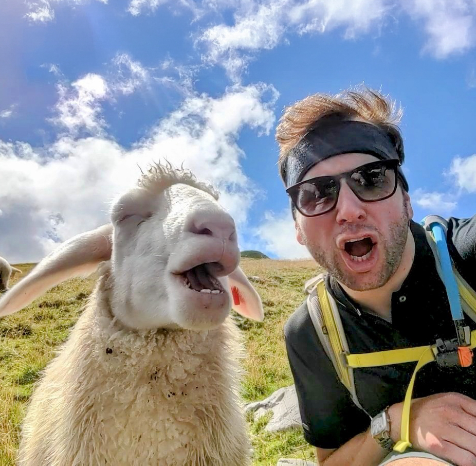 Motivationsschreiben Bild